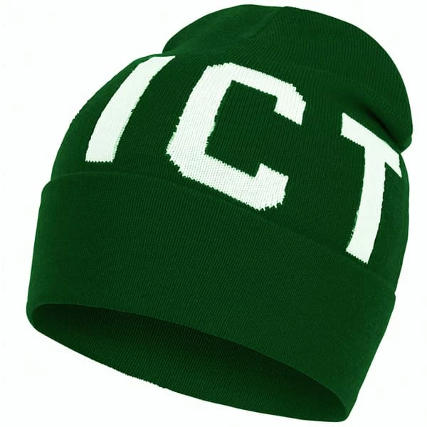 Bonnets Ski PICTURE IGOR BEANIE GREEN 21 Vert 3 Bonnets Ski PICTURE IGOR BEANIE GREEN 21 Vert